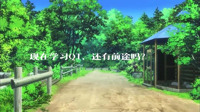 现在学习QT，还有前途吗？